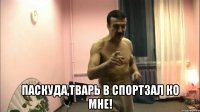  паскуда,тварь в спортзал ко мне!