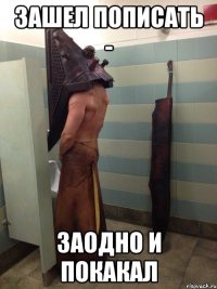 ЗАШЕЛ ПОПИСАТЬ - ЗАОДНО И ПОКАКАЛ