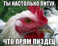 Ты настолько питух что прям пиздец