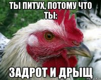 ты питух, потому что ты: задрот и дрыщ