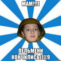 МАМ!!!1 ПЕЛЬМЕНИ КОНЧИЛИСЬ((((9