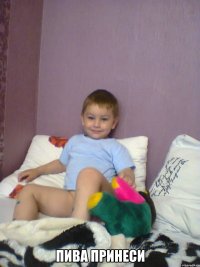  ПИВА ПРИНЕСИ