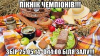 ПІКНІК ЧЕМПІОНІВ!!! ЗБІР 25.05.14- о 14.00 БІЛЯ ЗАЛУ!!!