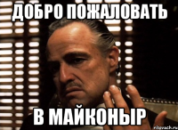добро пожаловать в майконыр