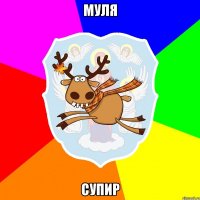 Муля супир