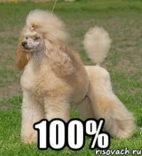  100%