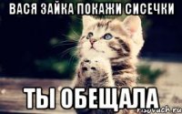 Вася зайка покажи сисечки ты обещала