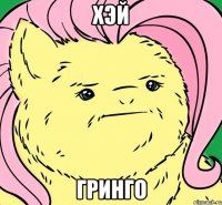 ХЭЙ ГРИНГО