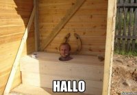  Hallo