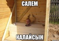 Салем Калайсын