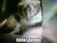  попизди мне