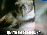  да что ты говоришь?