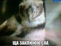  ща заклююю,ска