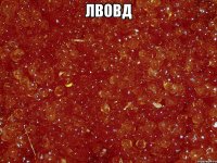 Лвовд 