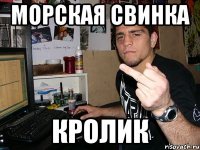 Морская свинка Кролик