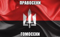 Правосеки Гомосеки