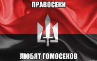 правосеки любят гомосеков