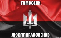гомосеки любят правосеков