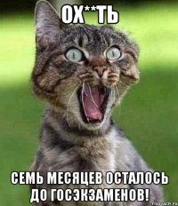Ох**ть семь месяцев осталось до госэкзаменов!