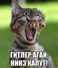  Гитлер агай, hинэ капут!