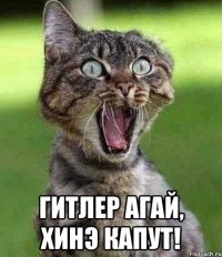  Гитлер агай, хинэ капут!