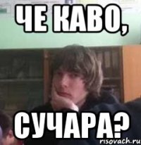 Че каво, Сучара?