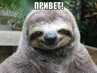 Привет! 