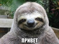  Привет