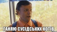  ганяю сусідських котів