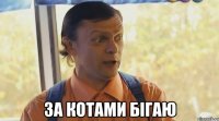 за котами бігаю