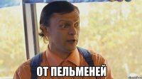  от пельменей