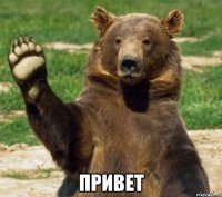  Привет