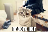 Я Просто кот