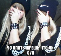  ЧО ОПЯТЬ ЖРЁШЬ ЧТО ЛИ, СУК