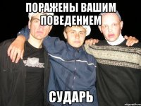 поражены вашим поведением сударь