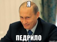 Я Педрило