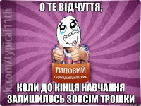 о те відчуття, коли до кінця навчання залишилось зовсім трошки