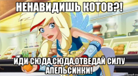 Ненавидишь котов?! Иди сюда,сюда,отведай силу апельсинки!