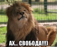  Ах... Свобода!!!)