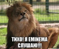  Тихо! Я Eminema слушаю!!!