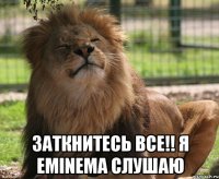  заткнитесь все!! я Eminema слушаю