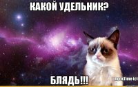 КАКой удельник? БЛЯДЬ!!!