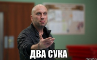  Два сука
