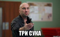  три сука