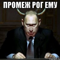 промеж рог ему 