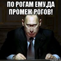 По рогам ему,да промеж рогов! 