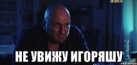  Не увижу Игоряшу