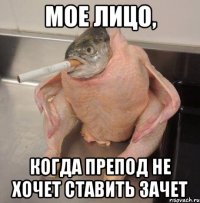 Мое лицо, Когда препод не хочет ставить зачет