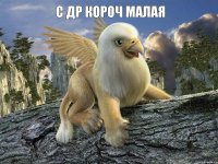 С ДР короч малая 