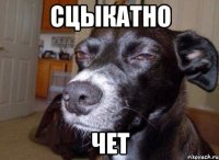 Сцыкатно Чет